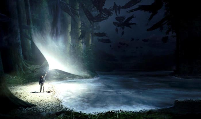 Harry Potter saves himself