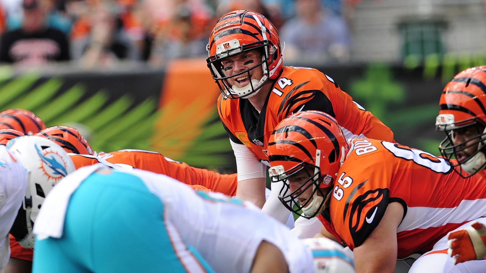 Bengals poised to see if strange resurgence is legitimate 