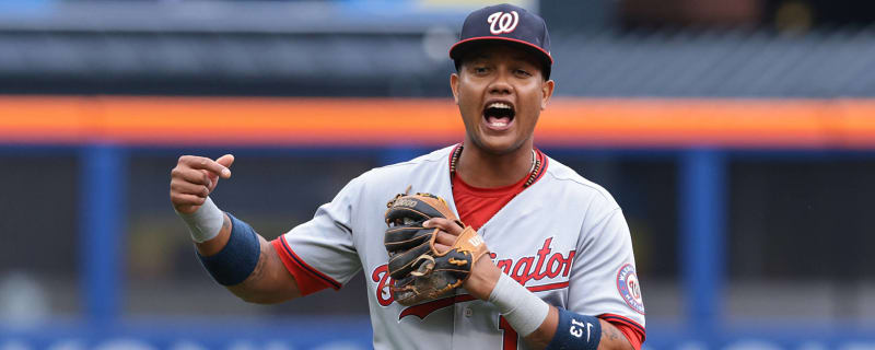 Starlin Castro banned 30 games under MLB policy; Nats to release