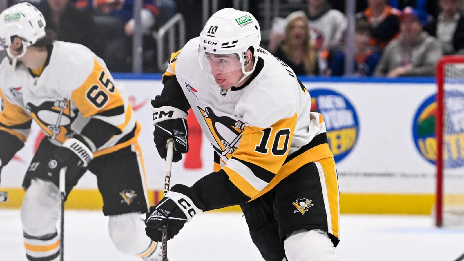  Why Do the Penguins Even Bother?
