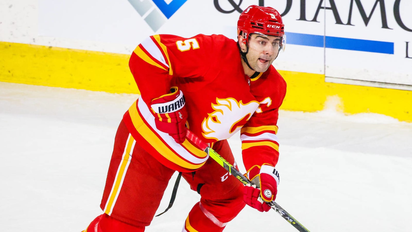 Expansion primer for the Calgary Flames