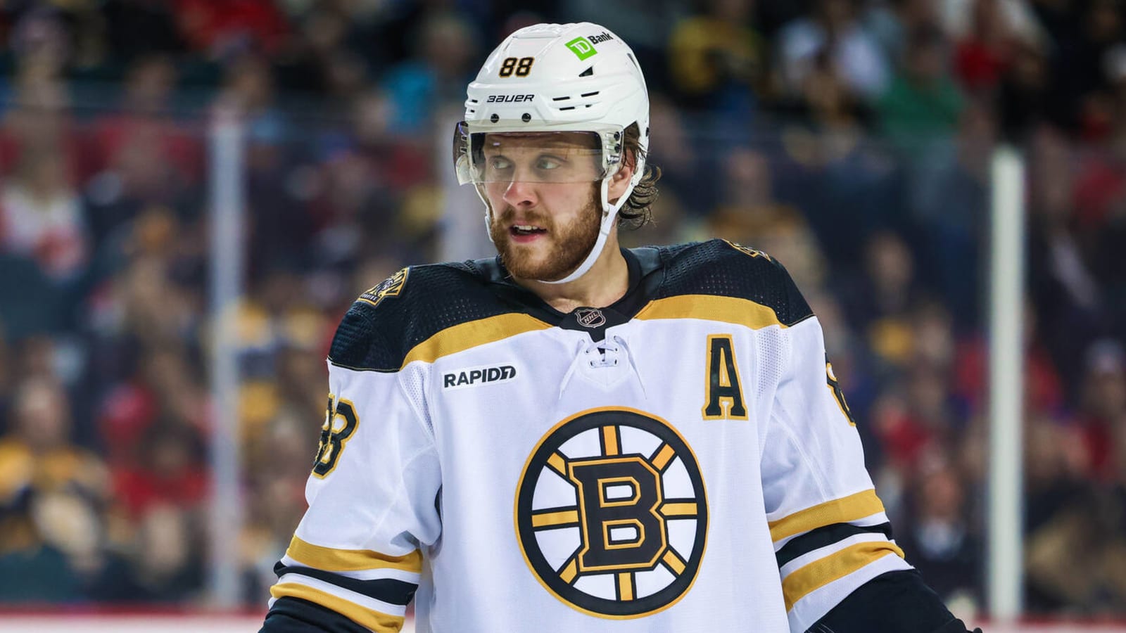 Bruins re-sign superstar David Pastrnak to monster contract