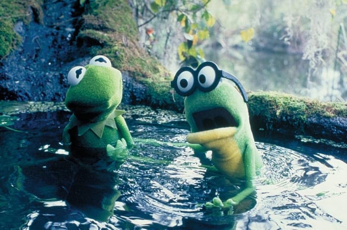 'Kermit's Swamp Years' (2002)