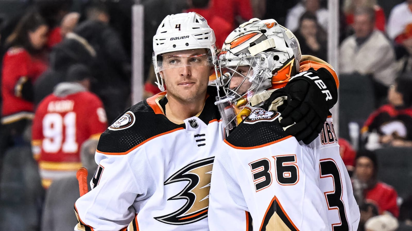 Ducks stock up, stock down