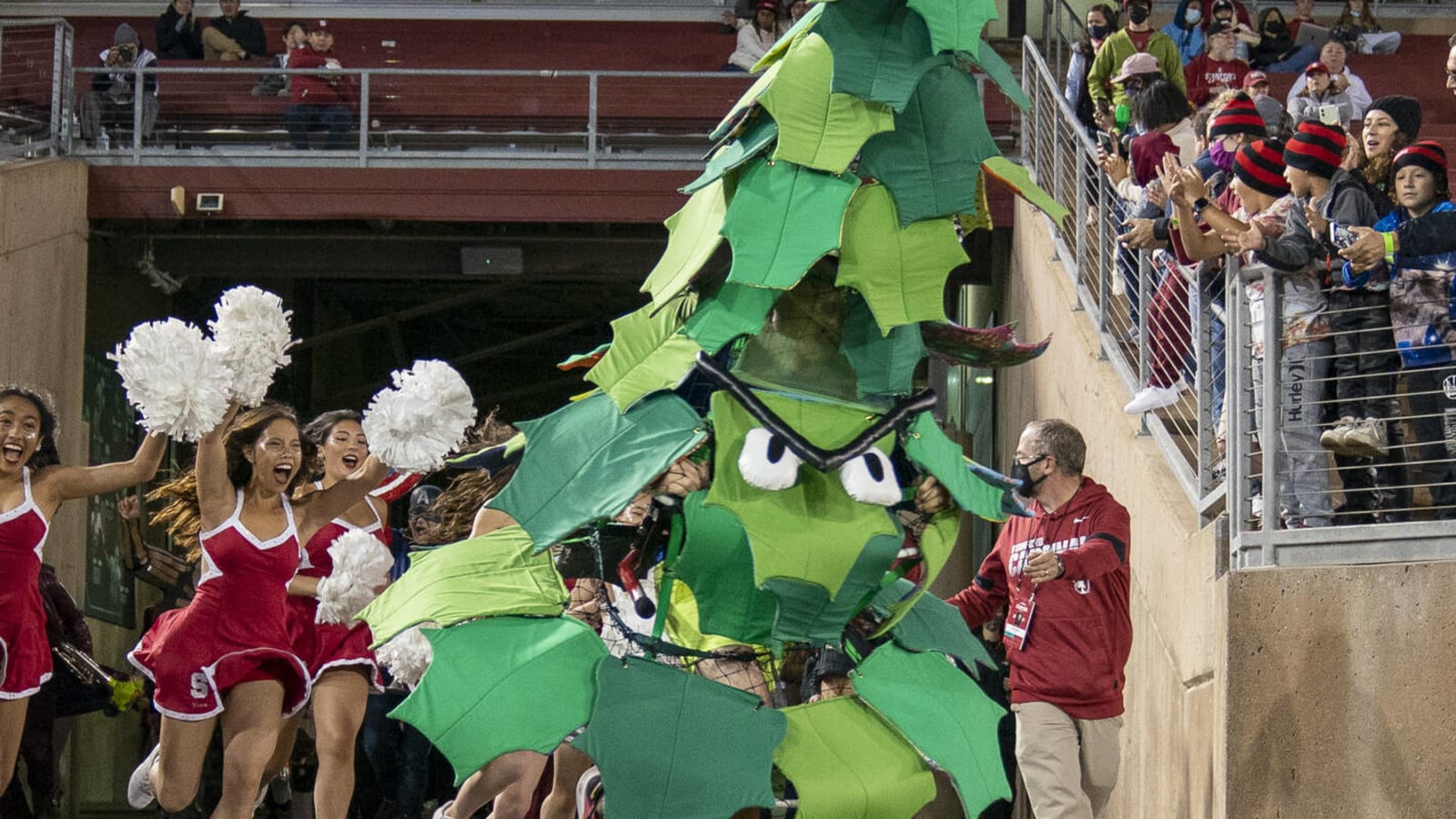 Stanford Tree mascot learns punishment for unveiling banner