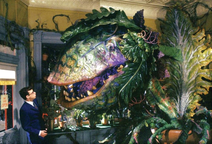 'Little Shop of Horrors' (1986)