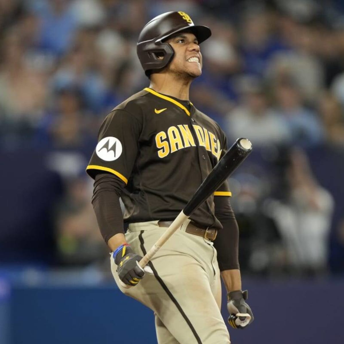 Padres News: Friars Superstar Among Top 3 Highest-Selling Jerseys