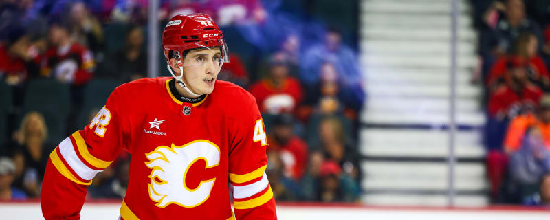 Samuel Honzek’s pre-season has been a pleasant surprise and a showcase of his abilities when healthy