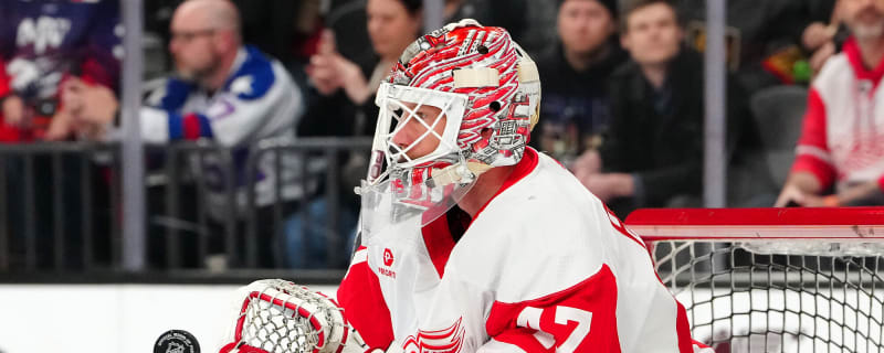 Sabres sign veteran goaltender