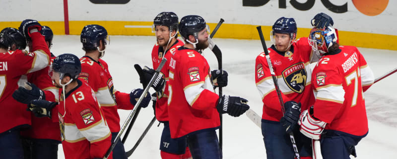 Shove It, 1994: The Florida Panthers are the Team of Destiny