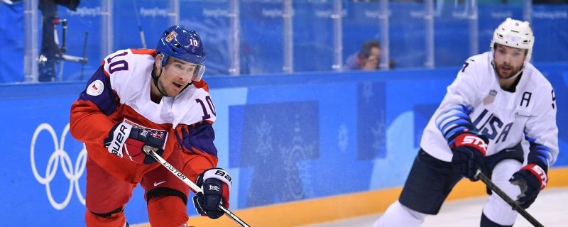 IIHF Male Player of the Year: Roman Cervenka, Team Czechia