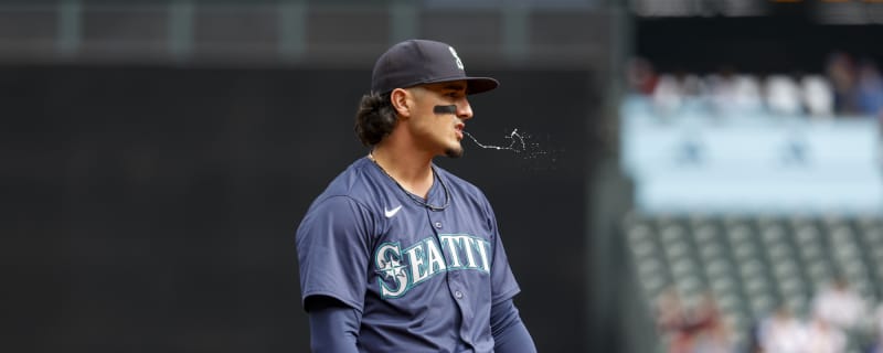 Chicago White Sox sign versatile utility-man to a 1-year deal