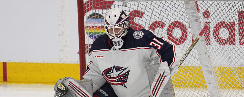 Former Maple Leafs Goalie Finds Fresh Start in Finland