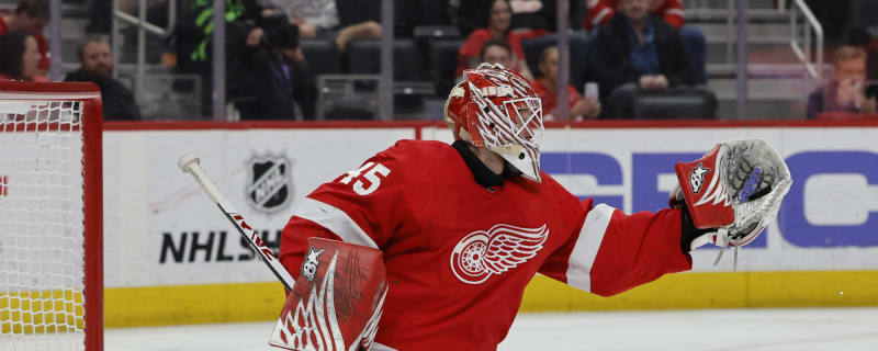 Hellberg Lastest Ex-Red Wings Player to Find New Home