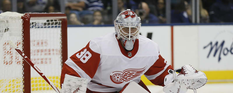 Former Red Wings Draftee Takes Long Way Back to An NHL Team