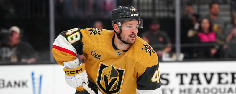 Hertl Can Provide Spark Golden Knights Need For The Playoffs