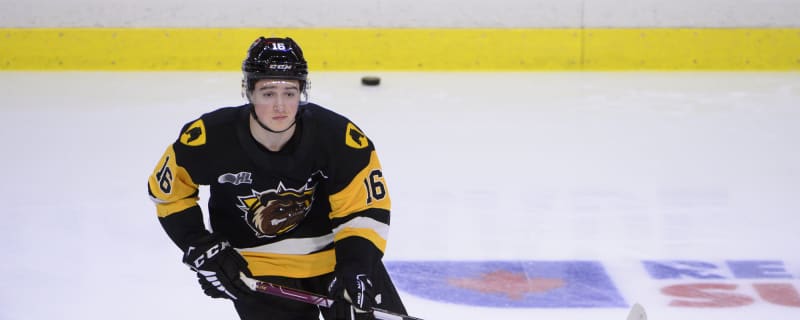 Blackhawks Prospect Check-In: Nick Lardis Leads the Way in the OHL