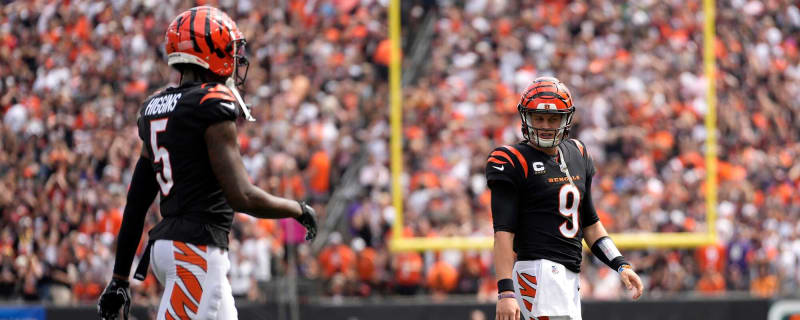 NFL Analyst Makes Bold Prediction For Cincinnati Bengals