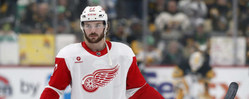 Red Wings Will Miss Rasmussen