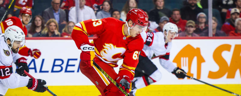 Calgary Flames place Adam Ruzicka and Nick DeSimone on waivers