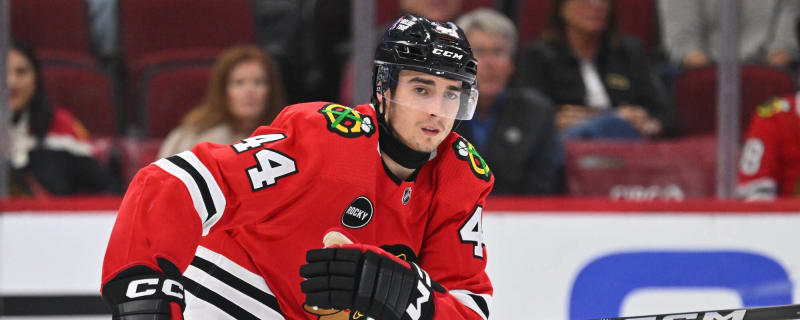 Welcome Back Wyatt Kaiser: Blackhawks Call Defenseman Up From Rockford