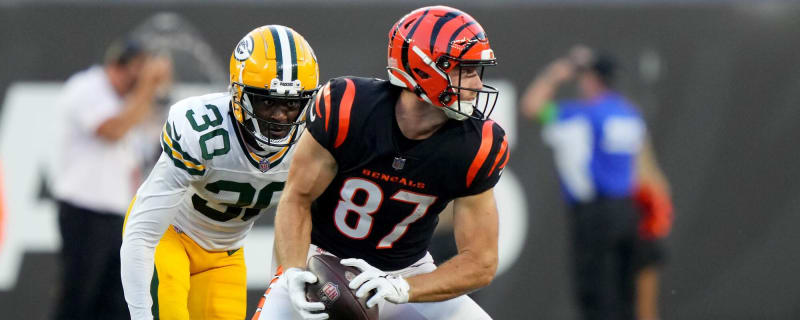 Bengals Sign TE Tanner Hudson To Active Roster, Add LB Clay Johnston To PS