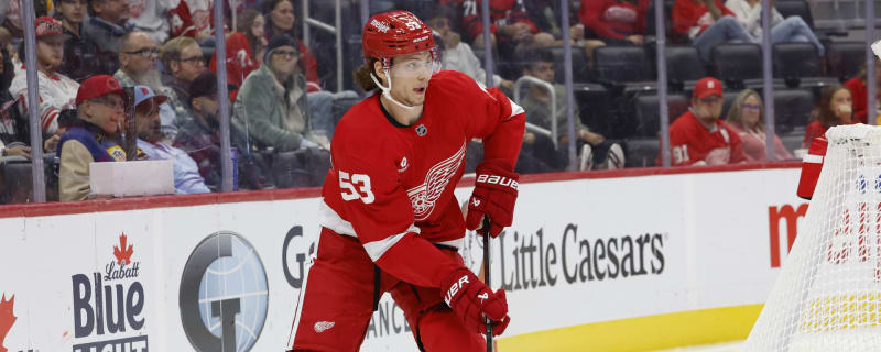 Red Wings Seider a Punishing Presence