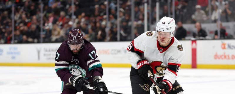 700-game NHL veteran rips Tim Stutzle for diving & exaggerating injuries