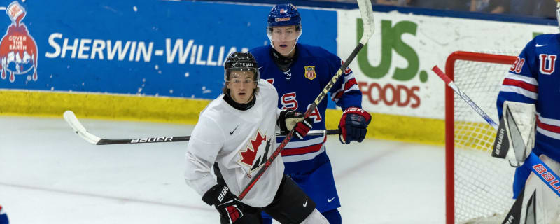 Buffalo Sabres’ Top 10 Prospects for 2024-25
