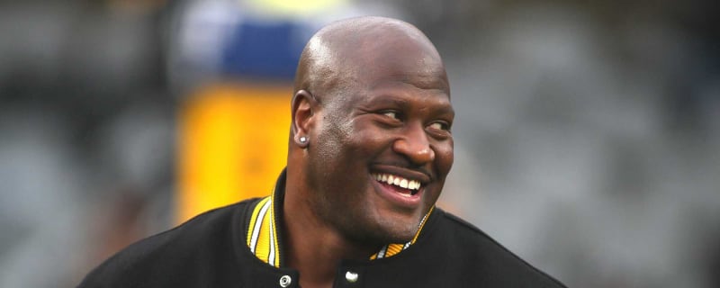 Cardinals Coaches Knew Steelers’ James Harrison Was About To Punish Them: 'We Were Aware'