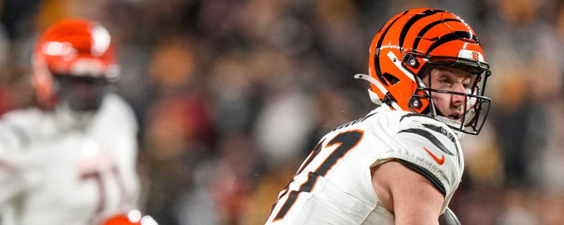 Bengals Re-Sign TE Tanner Hudson To One-Year Deal