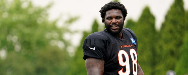 Lions to sign veteran DT