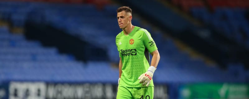 Manchester United planning three more loans for youngsters after Radek Vitek exit