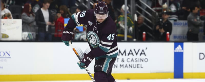 Meet the New Bruins: Max Jones