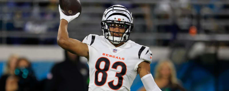 Bengals WR, Steelers CB trade barbs