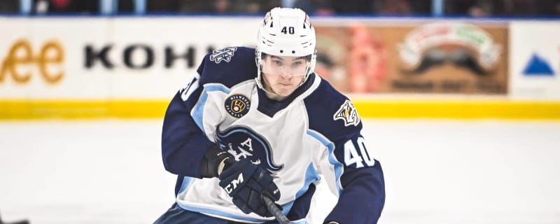 Top Predators Prospect Expected To Miss Next 4-6 Weeks