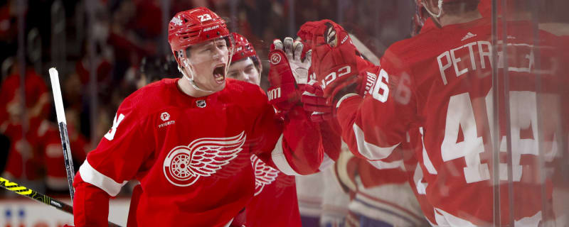 Red Wings Raymond Ready to Face Prison Rules Gudas