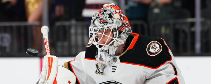 Ducks’ Dostal Primed for an Increased Role in 2024-25