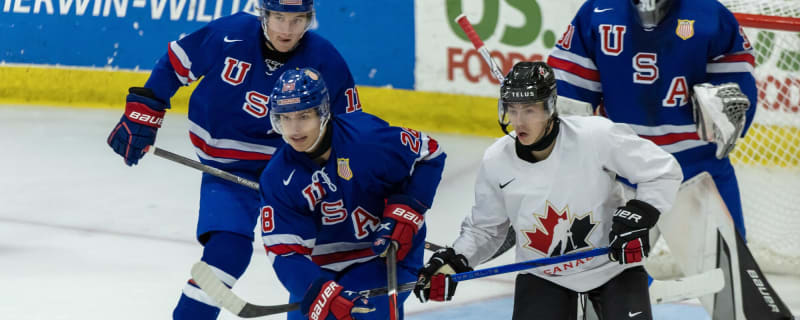Musty, Svoboda, Sahlin Wallenius Stand Out + Morehouse Talks Sharks Prospects