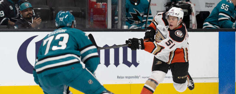 Ducks recall former second-round pick