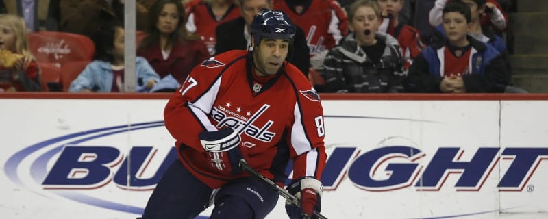 Beloved NHL enforcer Donald Brashear begins new job in sales