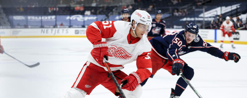 Homecoming Afoot For Former Red Wings Player