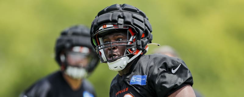 Bengals Sign DE Raymond Johnson III To Practice Squad