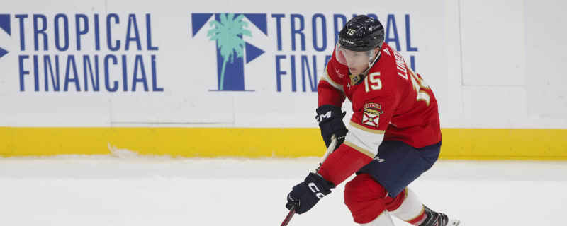 Panthers place Anton Lundell on IR; recall Justin Sourdif from AHL