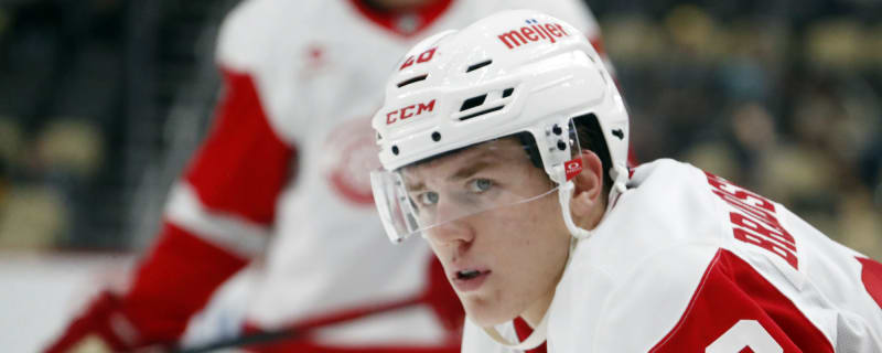 Nature Calls, Red Wings Prospect Misses Bus