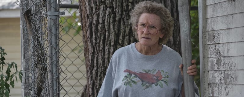 Glenn Close nabs Oscar and Razzie nominations for the same 'Hillbilly Elegy' role