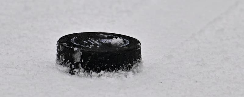 Watch: Canucks prospect Riley Paterson scores baseball style goal in OHL