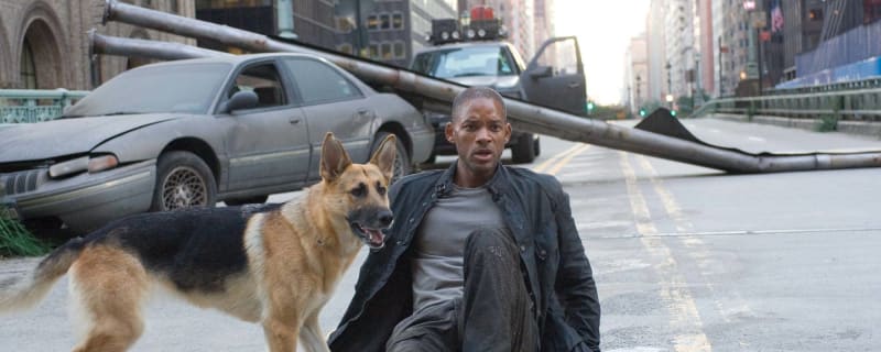 The best movie and TV shows with animal stars