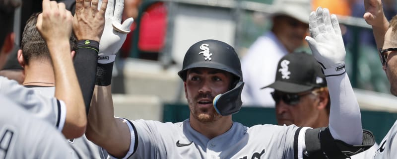 Grading the Chicago White Sox : Danny Mendick - South Side Sox