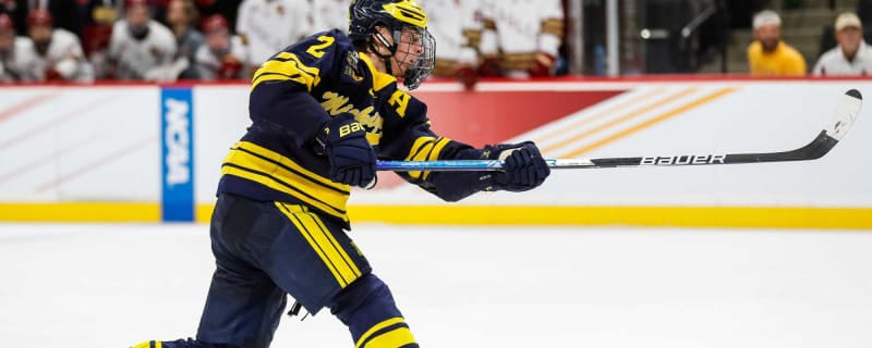 Maple Leafs walk away as major winners in Rutger McGroarty trade: Amazing news for Nicholas Moldenhauer